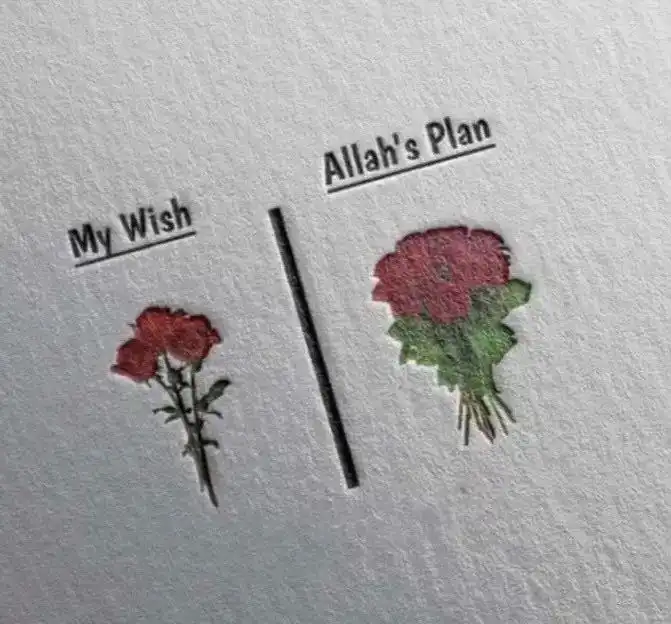 dp for whatsapp allah dp for whatsapp allah